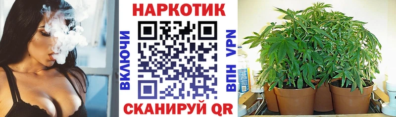 Хочу наркоту Орск Галлюциногенные грибы  МЕТАДОН  A-PVP  ГАШИШ  Конопля  Cocaine 