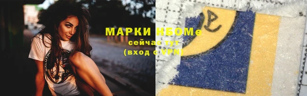 хмурый Алзамай