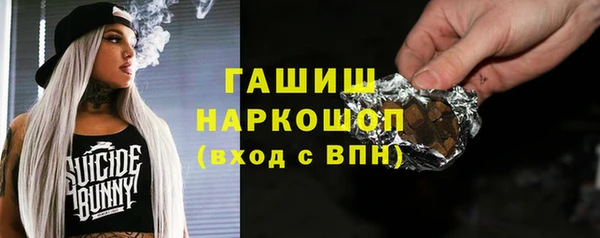 хмурый Алзамай