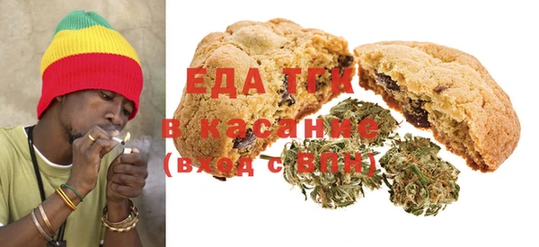 хмурый Алзамай