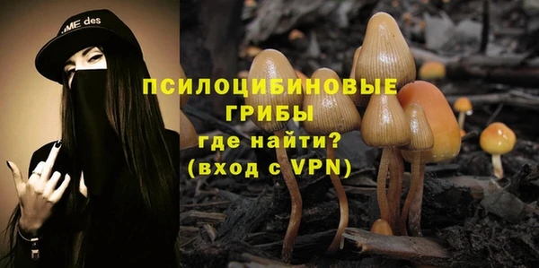 хмурый Алзамай