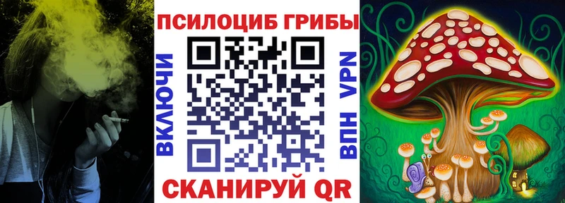 Псилоцибиновые грибы мицелий  Орск 